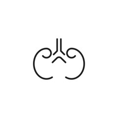Line icon of kidney on isolated white background