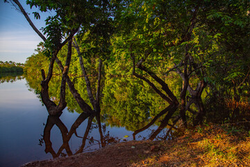 Reflexo com espelho d'&aacute;gua no rio na Amaz&ocirc;nia no Estado do Amap&aacute;.