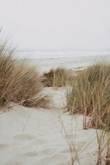Morro Bay dunes, California