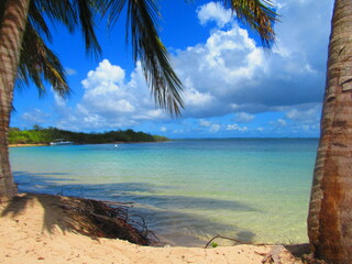 Des palmiers sur la plage de sable blanc devant la paradisiaque mer turquoise