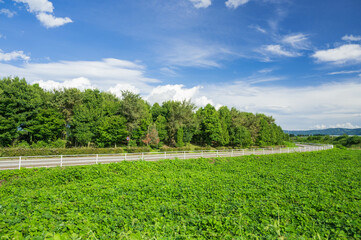 洗馬から見た信州スカイパーク南端
