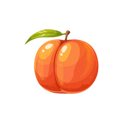 Ripe peach fruit, garden plant, vector juicy natural healthy farm fruit with stem and leaf. Organic production, cartoon element for design isolated on white background