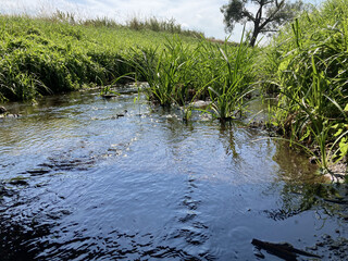 Running river under the bridge.	