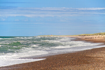 View from the west over the curved coastline of northern Jutland, Denmark, in the distance Lild Strand, a group of cormorants on the beach