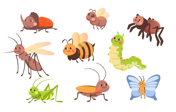 Set of insects. Pictures with various insects for children. Image of caterpillar, ant, butterfly, beetle, bee. Icons and badges. Cartoon flat vector illustrations isolated on white background