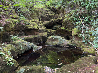 Stones overgrown with tufa and moss in the stream bed under the Zagorska pec cave in the village of...