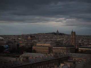 Fototapeta premium view of Paris from Notre Dame