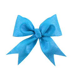 Beautiful blue gift bow, isolated on white
