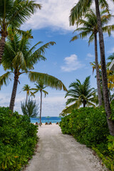 Plakat path with palms and flowers in Crossroads Maldives resort. Saii lagoon, july 2021