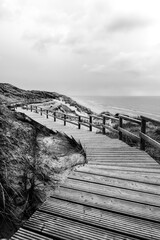 Wooden Path in the Dunes of Sylt in Northern Germany in Black and White