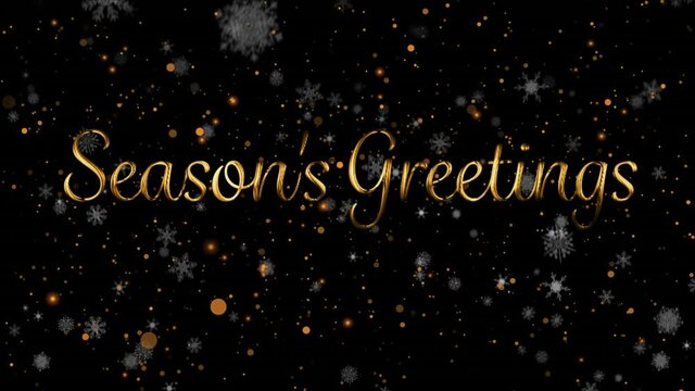 Animation of seasons greetings text over light spots and snow on black background