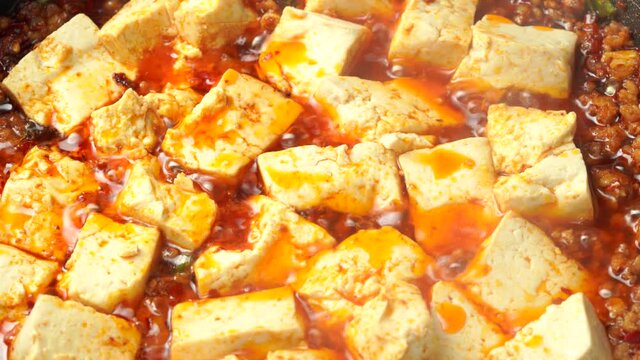 Special Chinese Cuisine Mapo Tofu