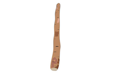 wooden chopsticks isolated on white