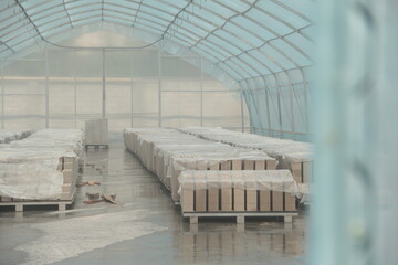 Bricks are being processed.
