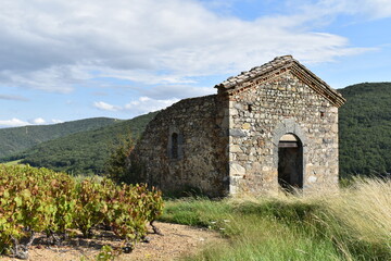 Maison en ruine dans les vignes