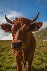 Tarine, fond d'Aussois, haute Maurienne