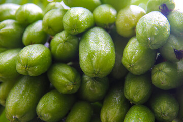 he fresh green color of the fruit