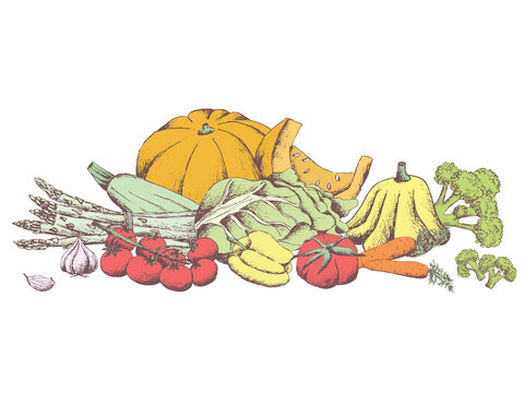 Hand drawn digital vintage set of different  vegetables. Colorfull still life on a white background. Harvest.Asparagus, pumpkin, broccoli, tomato, pepper, patison,carrot. Horizontal template pattern 