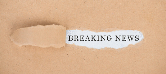 The words New Ideas standing on a white background, ripped paper