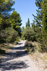 Chemin de randonnée au sein de la Forêt communale de Gigean (Occitanie, France)