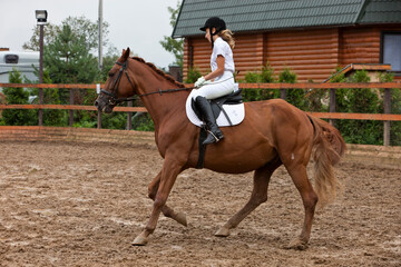 A girl in white equestrian clothes and a helmet, riding a brown horse. performs at a dressage...