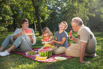 Happy family grandparents and grandchildren having picnic and eat watermelon in park on sunny...