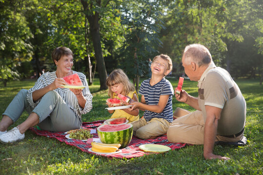 Happy family grandparents and grandchildren having picnic and eat watermelon in park on sunny summer day
