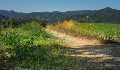 A dirt road leading to mountain pastures in the nearby fields.

