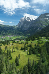 un mont enneigée au fond d'une vallée verdoyante avec des sapins 
