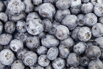 Fresh blueberry as food background