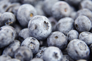 Fresh blueberry as food background