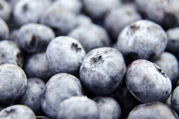 Fresh blueberry as food background
