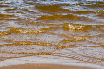 Ripples in the water. sandy bottom of the river. Waves on the sandy shore