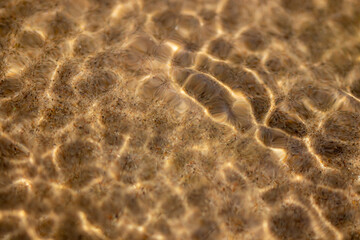 Ripples in the water. sandy bottom of the river.