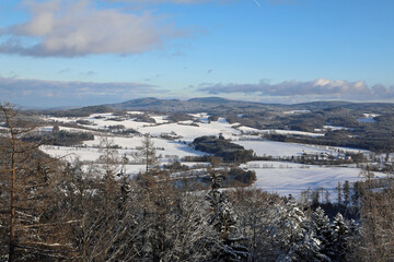 landscape with snow and trees