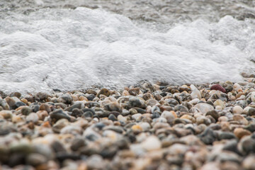 orilla de laguna con piedras