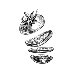 Flying pieces of red tomato plum. Vector vintage hatching illustration.