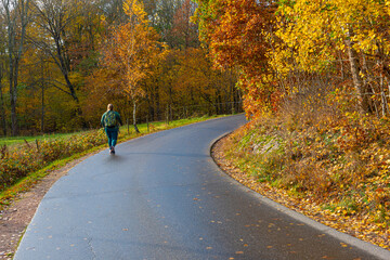 Fototapeta premium Person walking by the side of a road by a forest at fall.
