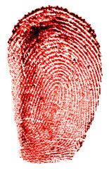 Bloody fingerprint isolated on a white background. Red fingerprint. Technology concept.