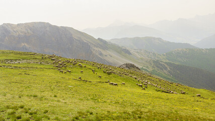 Fototapeta premium Izoard - Clot la Cime.