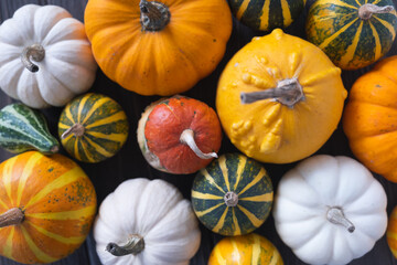 Thanksgiving background with diverse pumpkins on wooden background. Halloween or seasonal background.