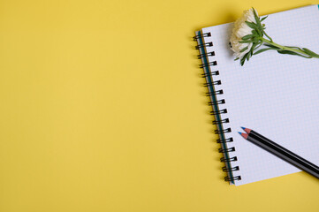 Flat lay composition from autumn aster flower and a color pencil on an organizer notepad with blank white sheets , isolated on yellow background with copy space