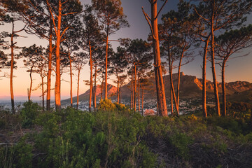 Fototapeta premium Beautiful Sunset in Cape Town, South Africa