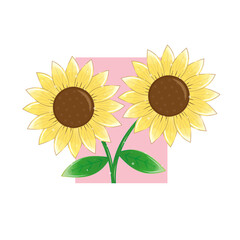 Cute pair of sunflowers on pink square