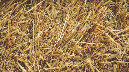 Hay bales close-up. Agriculture and farming. Background.