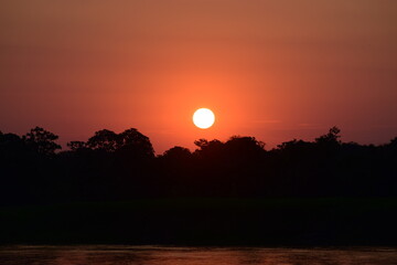 sun over the Amazon forest and the Amazon river