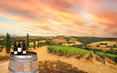 View over vineyards with red wine grapes and typical Tuscan landscape with agricultural fields and...