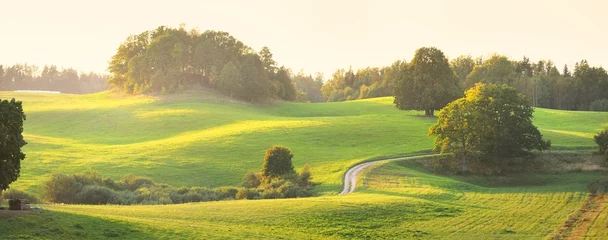 Malerische Panoramalandschaft der grünen Hügel und Wiesen (landwirtschaftliche Felder) bei Sonnenuntergang. Schafe grasen, Nahaufnahme. Wald im Hintergrund. Idyllische ländliche Szene. Pastorale Landschaft. Neuseeland © Alex Stemmer