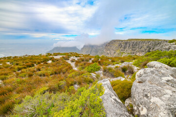 Beautiful views, images and birds on top of Table Mountain, Cape Town, South Africa