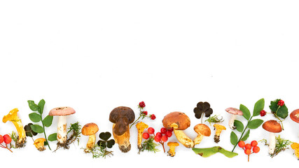 Forest edible mushroom border. Design template with a border of multi-colored mushrooms collected...